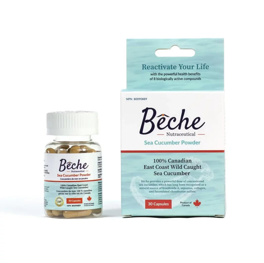 Bêche Sea Cucumber Powder 30 capsules