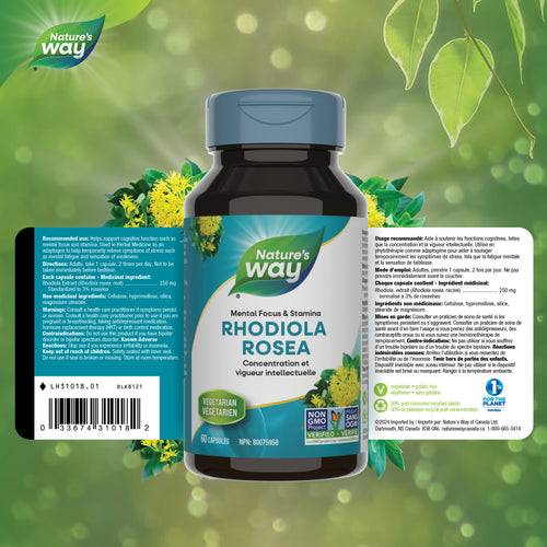 Nature's Way Rhodiola Rosea, 60 Vcaps