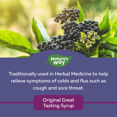 Nature's Way 接骨木感冒和流感护理,糖浆,120 毫升