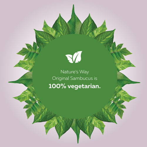 Nature's Way 接骨木免疫支持 抗感冒和流感护理,素食糖浆,120ml