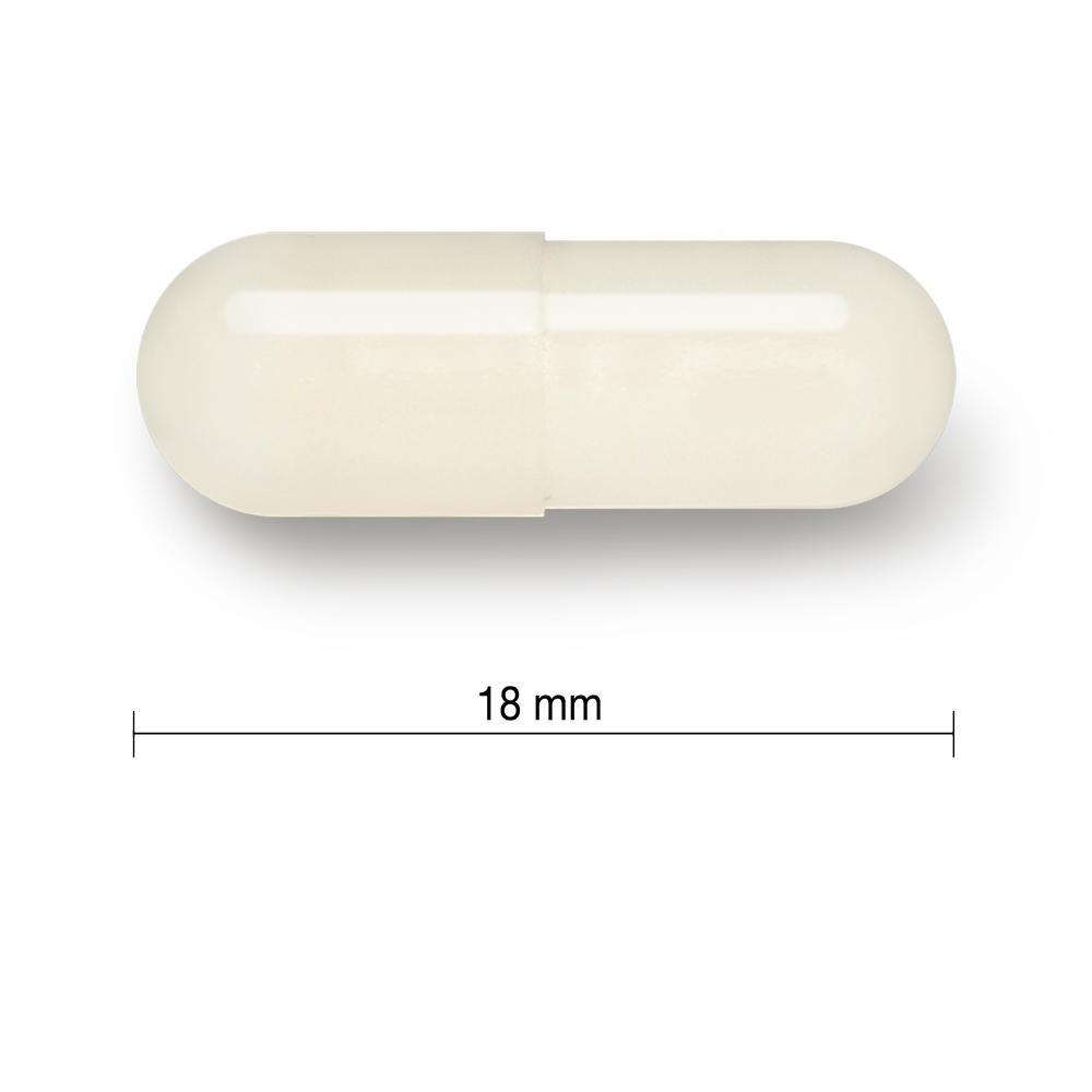 健美生 Jamieson Probiotic 5 Billion, 60 + 12 vegetarian caps 18 mm in length