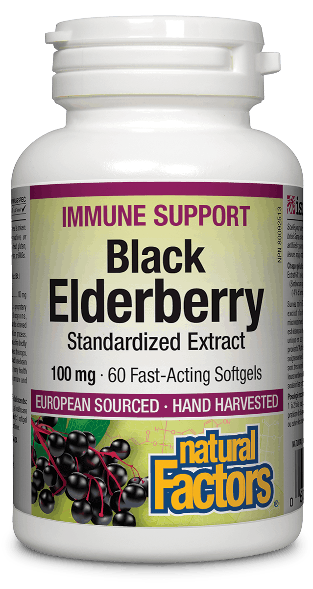 A bottle of Natural Factors Black Elderberry standardized extract softgels, with a label indicating 100 mg dosage and 60 softgels per bottle.