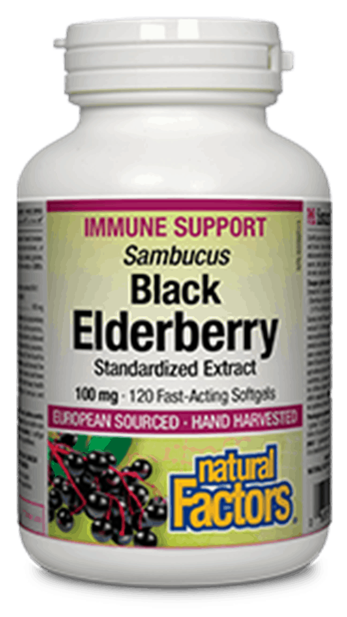 A bottle of Natural Factors Black Elderberry Standardized Extract softgels, 120 count.