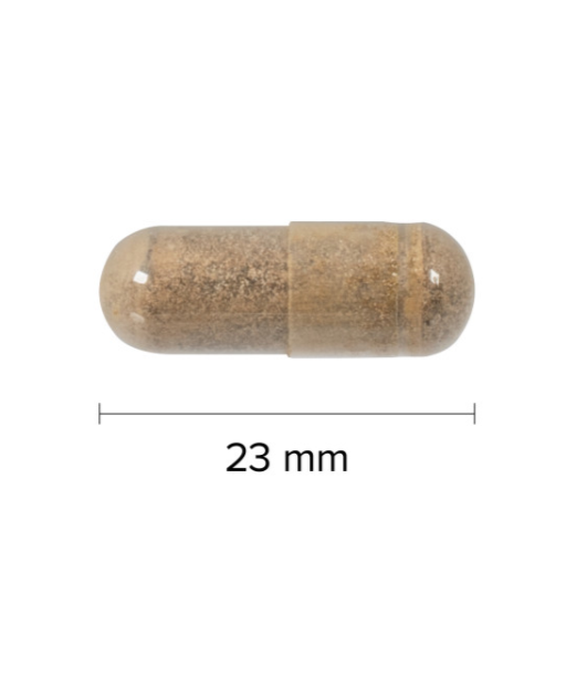 Webber Naturals 男性健康 马卡1650毫克+胡芦巴9900毫克