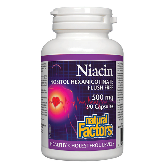 Bottle of Niacin capsules with a purple label on a white background Natural Factors Natural Vitamin Direct Inc Canada