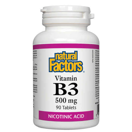 Bottle of Natural Factors Vitamin B3 500 mg on a white background available from natvd.com Canada