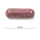 【優惠組合】6瓶 x Jamieson 預防尿路感染蔓越莓濃縮 500毫克，60粒