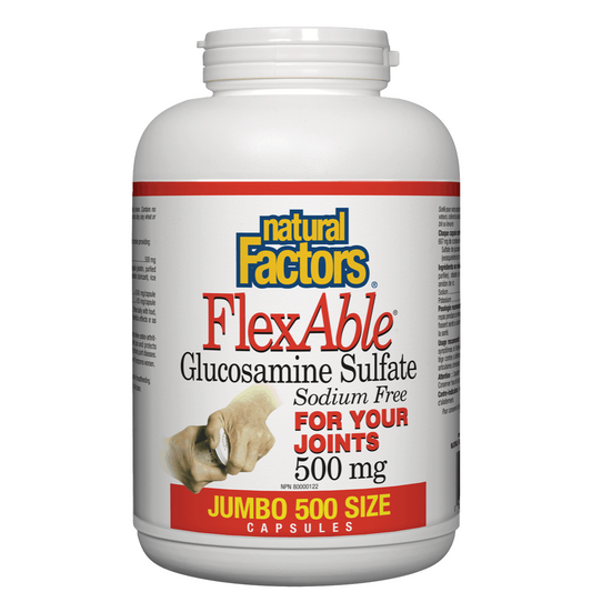Bottle of Natural Factors FlexAble Glucosamine Sulfate for dogs on a white background