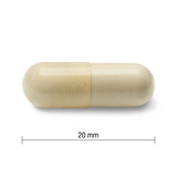 6 x Jamieson Glucosamine Sulfate, 500mg, 360 Capsules Bundle