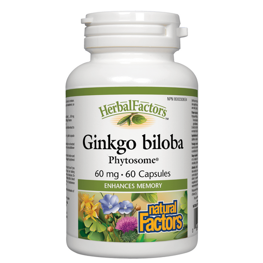 Bottle of Herbal Factors Ginkgo biloba supplement on a white background