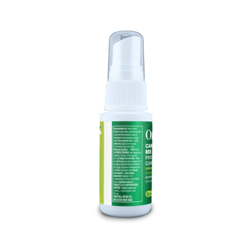 6x Organika Bee Propolis Throat Spray Alcohol Free 30 ml Bundle Alcohol free