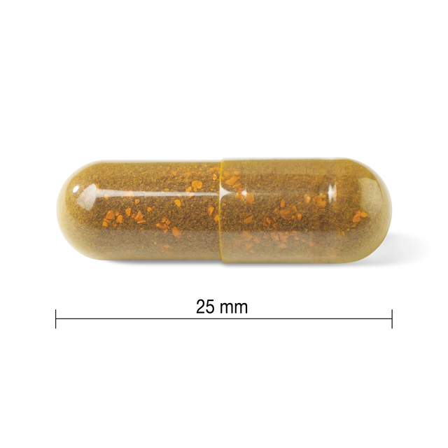 Jamieson Tart Cherry + Turmeric 30 capsules