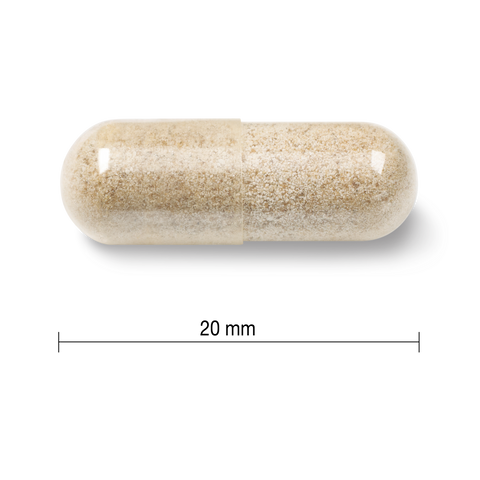 Jamieson 温和补铁胶囊 150 粒