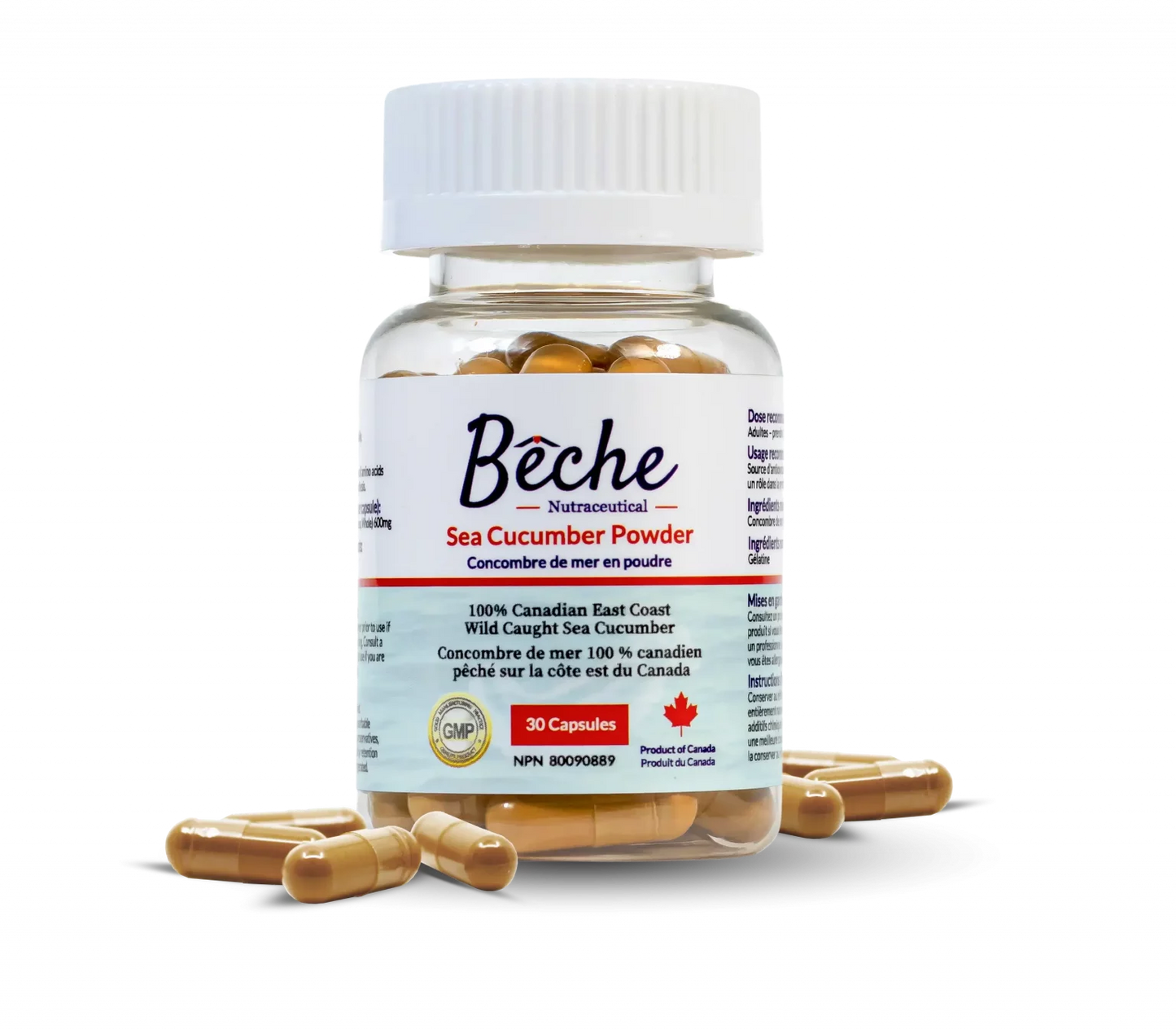 Bottle of Beche Sea Cucumber Powder with capsules on a white background