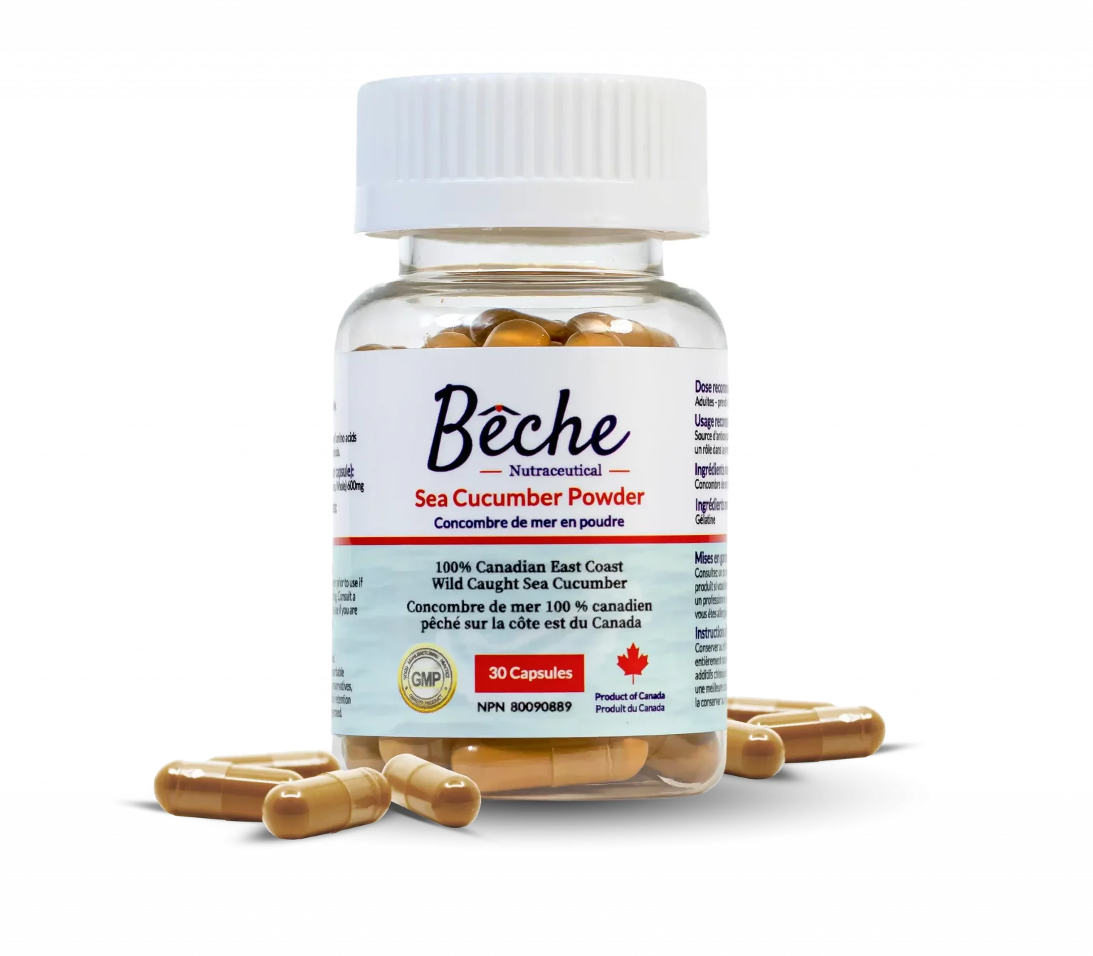 Bottle of Beche Sea Cucumber Powder with capsules on a white background