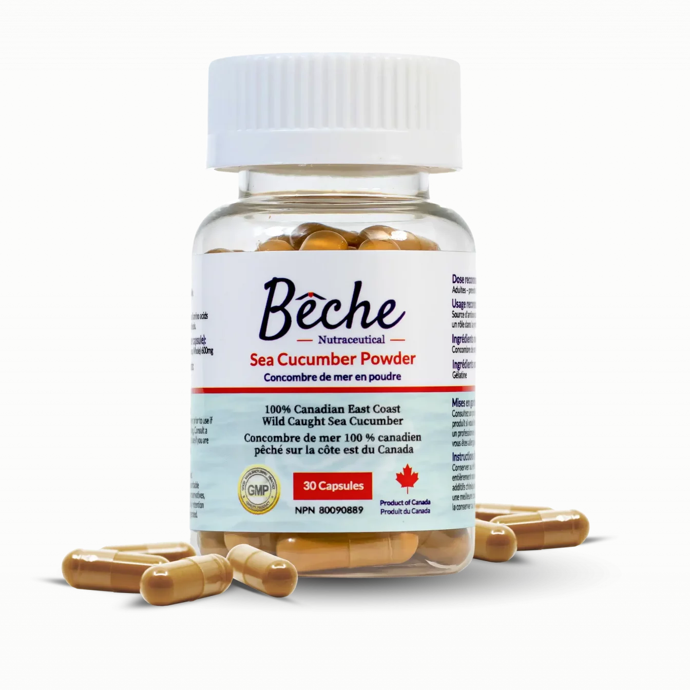 Bottle of Beche Nutritional Sea Cucumber Powder with capsules on a white background