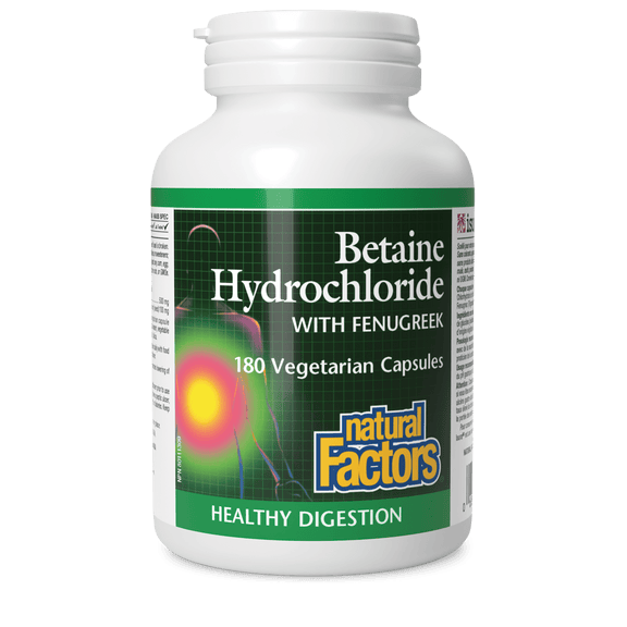 Bottle of Natural Factors Betaine Hydrochloride with Fenugreek capsules on a white background natvd.com
