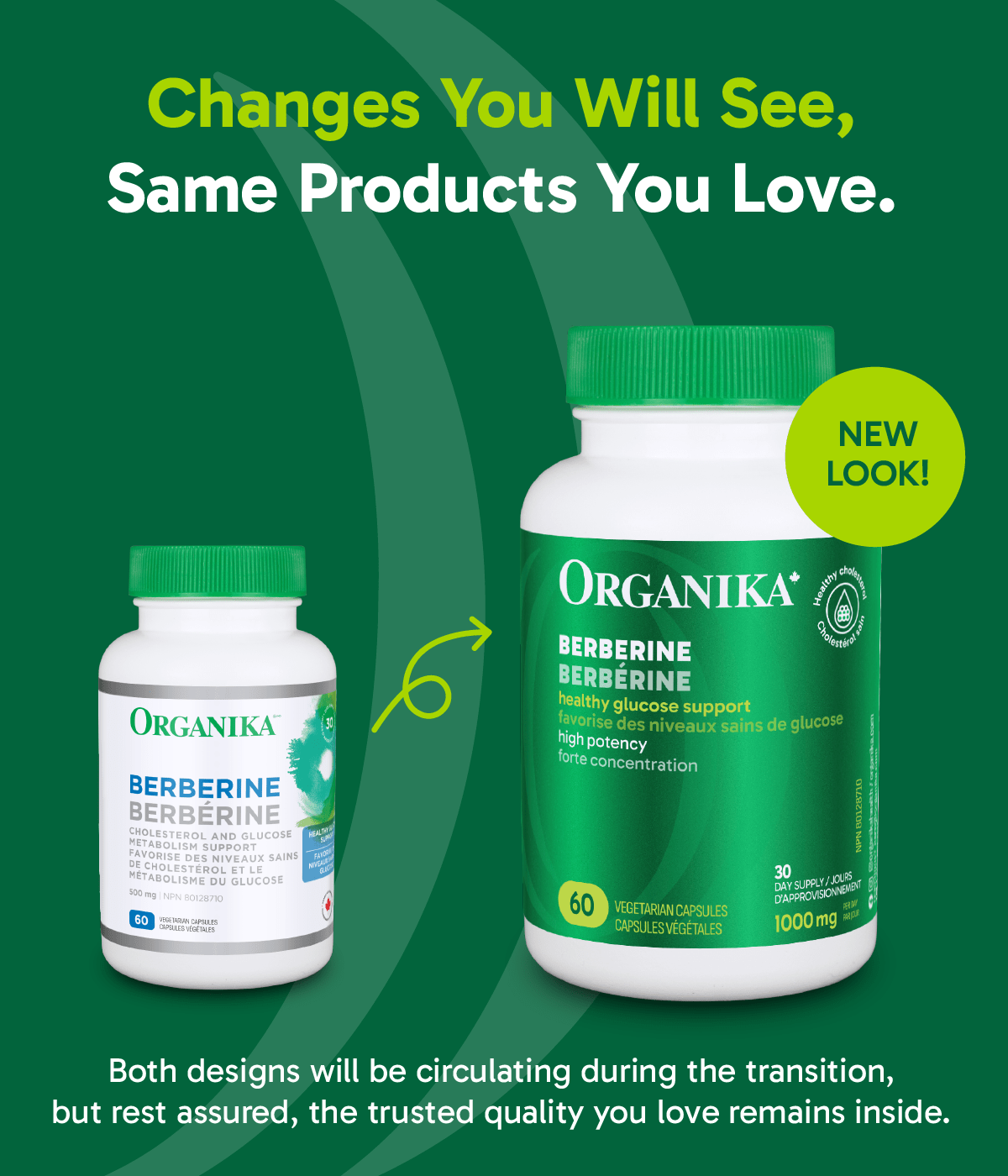 Organika 小檁鹼 500 毫克，促進心血管健康，60 粒膠囊