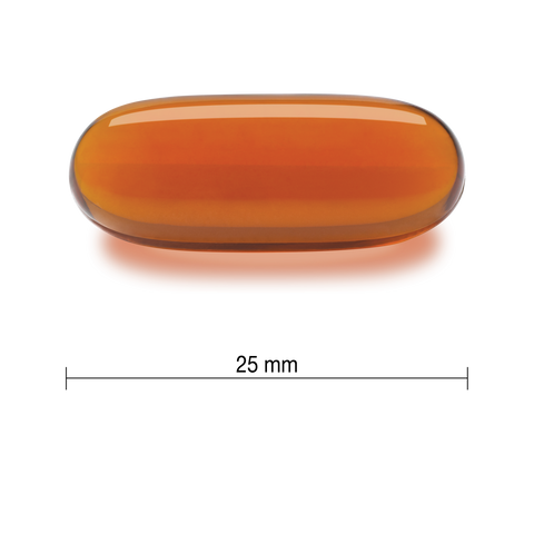 【优惠组合】6瓶 x Jamieson 健美生 卵磷脂, 1200毫克, 100粒