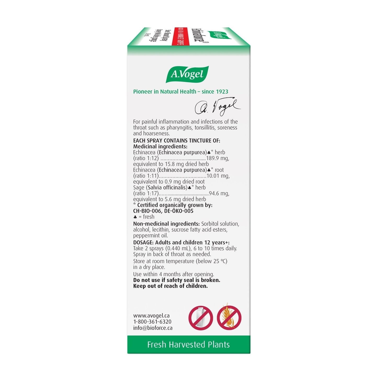A. Vogel Echinaforce 咽喉喷剂 30 毫升