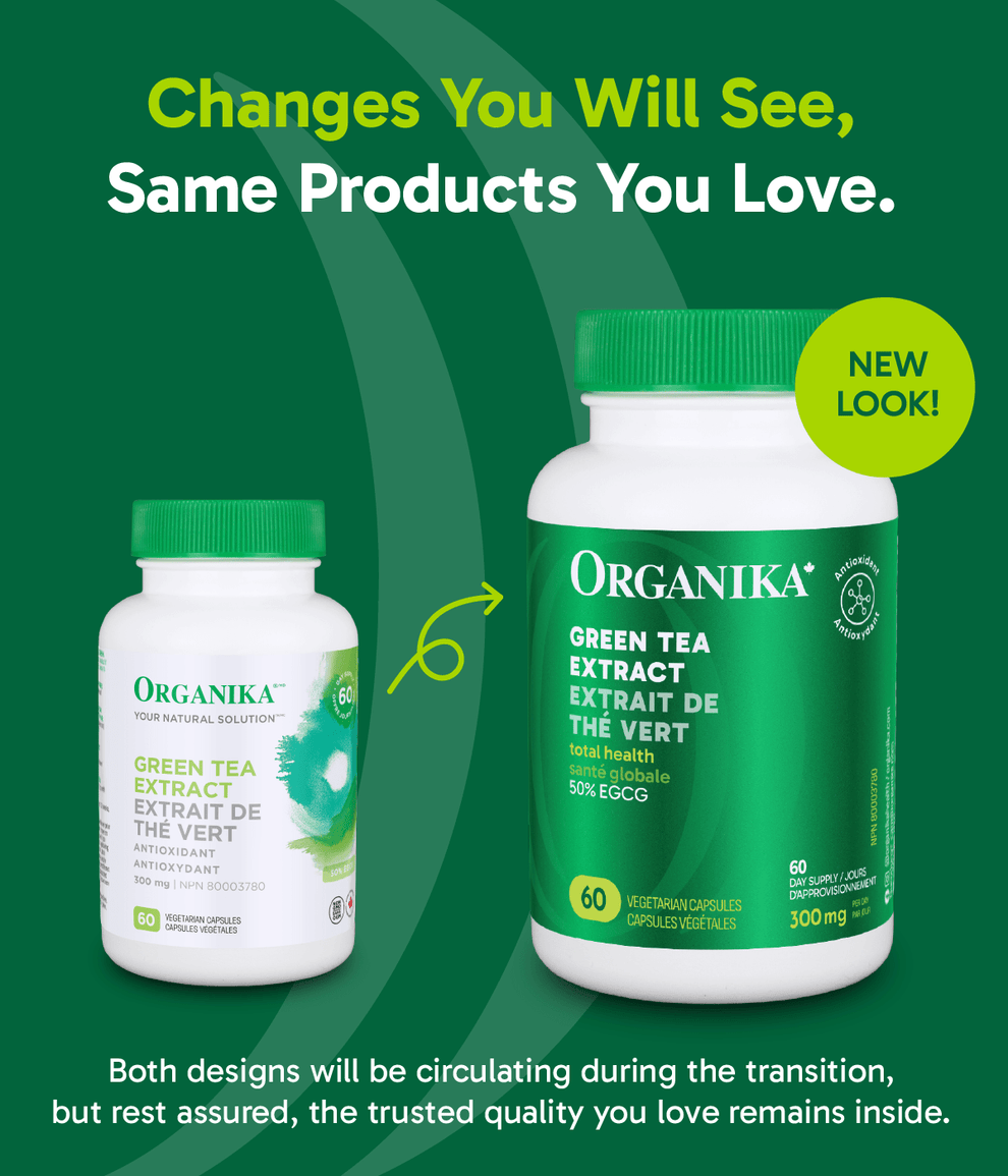6x Organika Green Tea Extract 300mg 60 vcaps Bundle