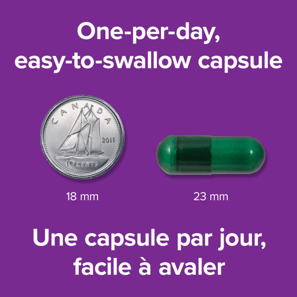 Webber Naturals  Men's Most Complete Multi 90 Vegetarian Capsules size demonstration