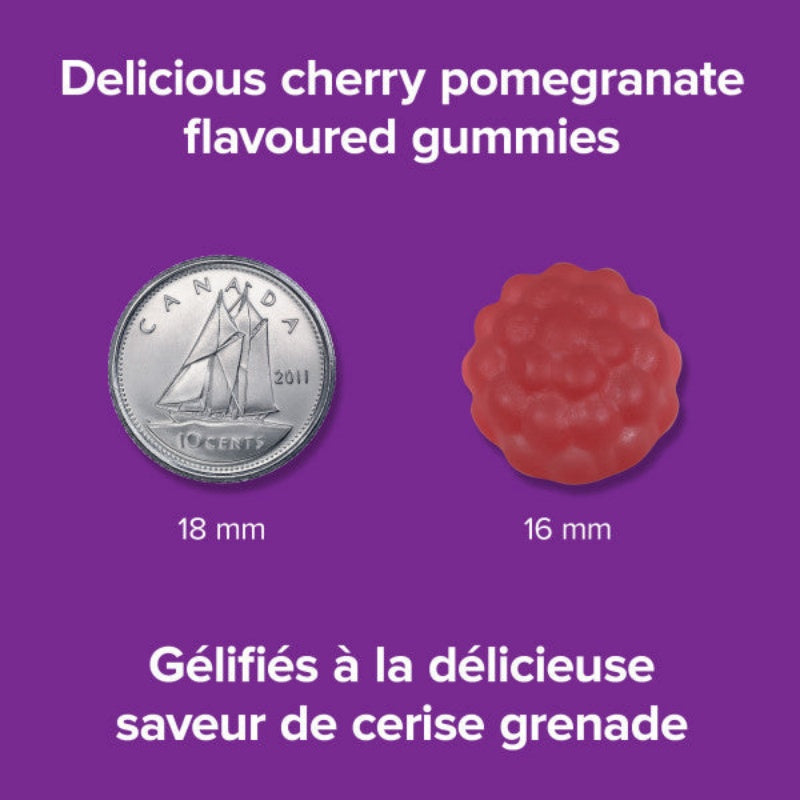 Webber Naturals Melatonin 10 mg 100 gummies（Value Size）