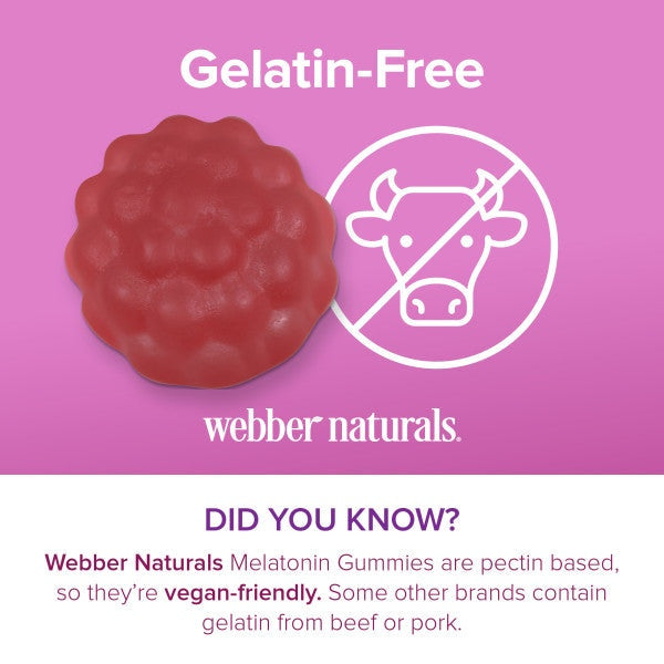 Webber Naturals Melatonin 10 mg 100 gummies（Value Size）