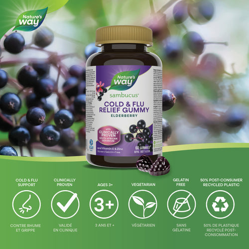 Nature's Way sambucus Cold & Flu Relief Gummy Elderberry information