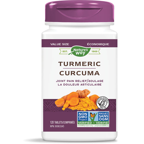 Nature's Way Turmeric Standardized 120 Tabs Canada