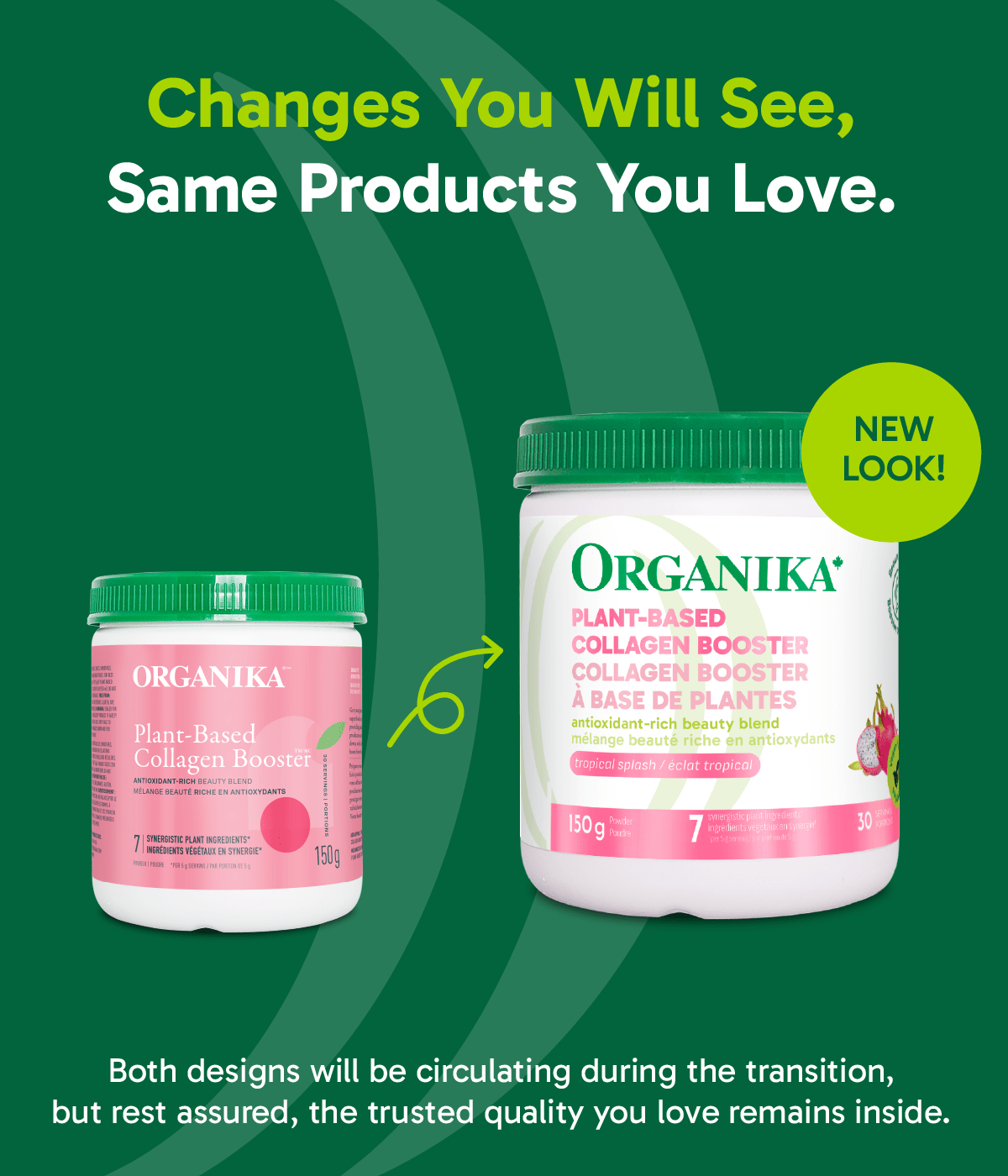 6x Organika Plant Based Collagen Booster 150g Bundle