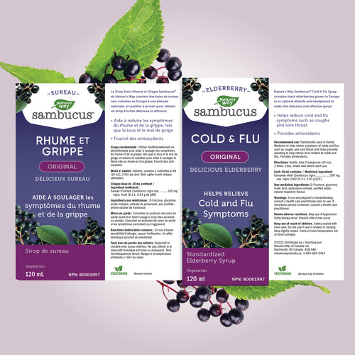 Nature's Way 接骨木免疫支持 抗感冒和流感護理，素食糖漿，120ml