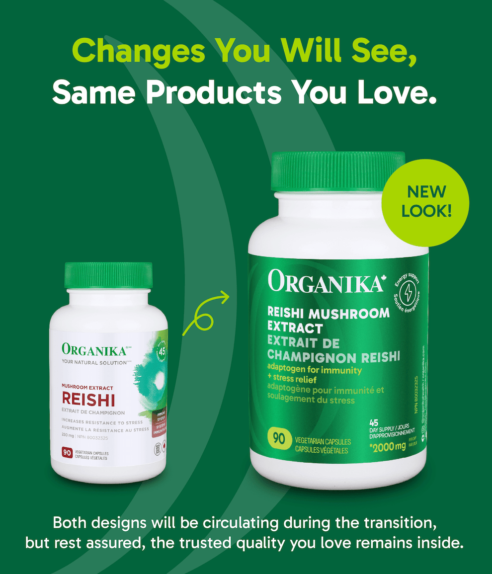 [优惠组合] 6瓶 x Organika 高纯度有机赤灵芝，250毫克，180粒 