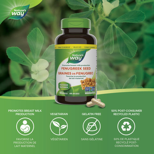 Nature's Way Fenugreek Seed 610mg, 180 caps