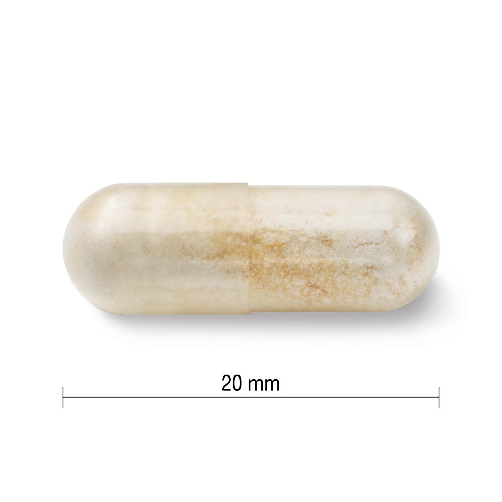 Jamieson Probiotics 30 Billion 30 veg capsules 健美生 length 20 mm