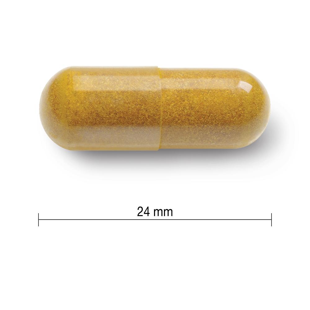 健美生 Jamieson Curcumin Turmeric 550mg 60 veg caps 24 mm in length