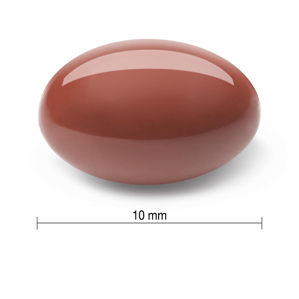 健美生 Jamieson Echinacea 4000mg 60 softgels 10 mm in length