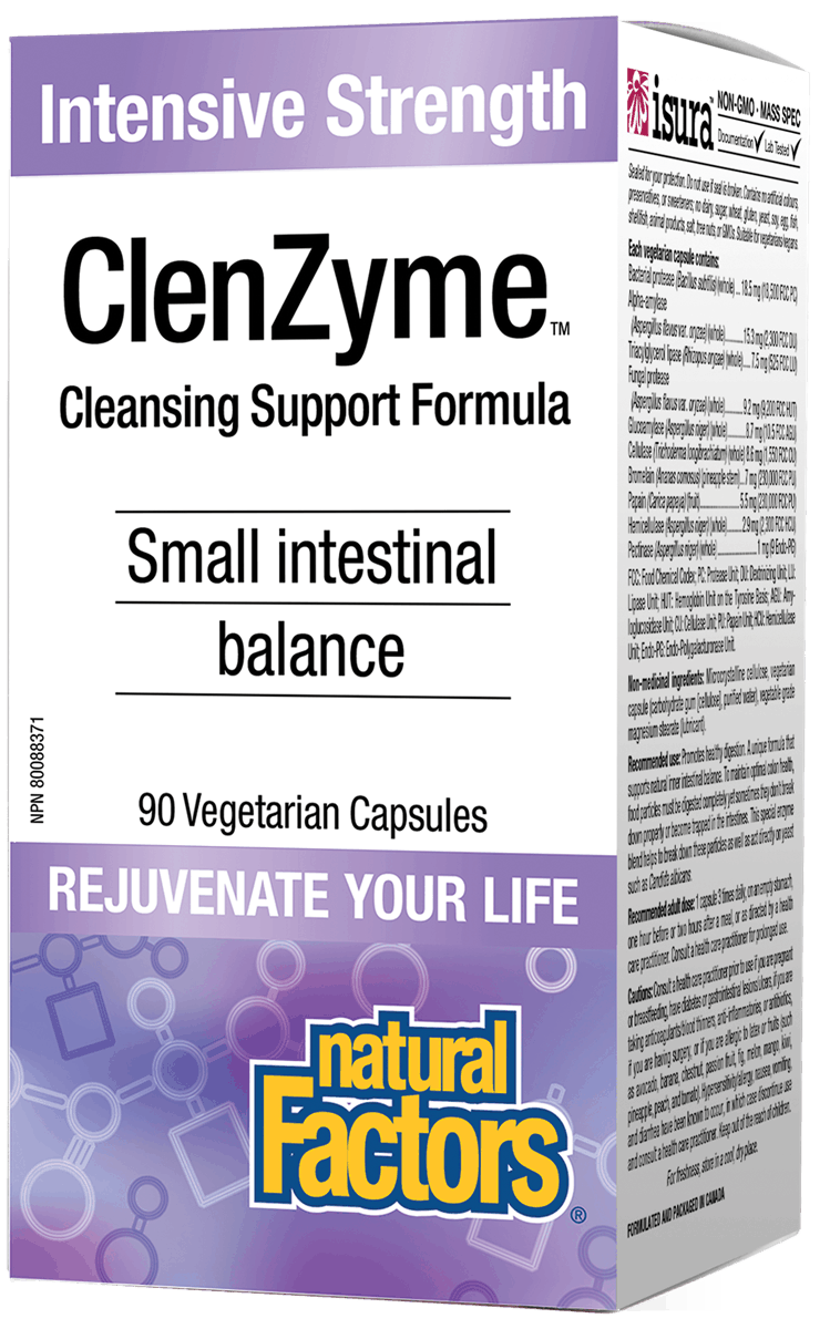A box of Natural Factors ClenZyme Intensive Strength, with 90 vegetarian capsules, designed for digestive support.