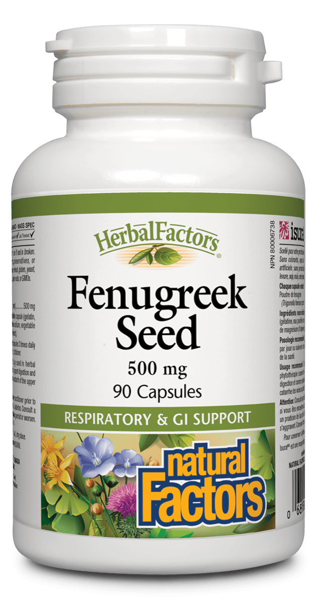 A bottle of Natural Factors Fenugreek Seed dietary supplement containing 500 mg of fenugreek seed powder, with 90 capsules. The bottle is white with a green and purple label, and indicates respiratory and GI support.