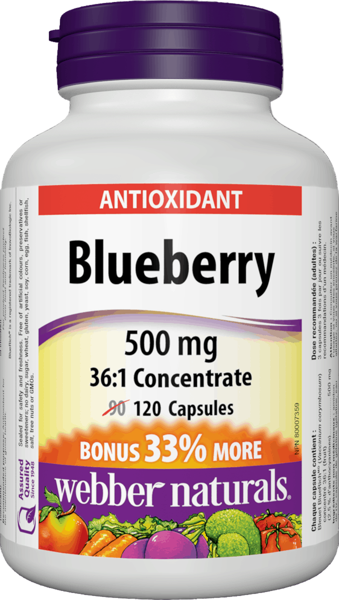 Webber Naturals Blueberry 500 mg 120 capsules Canada available from natvd.com