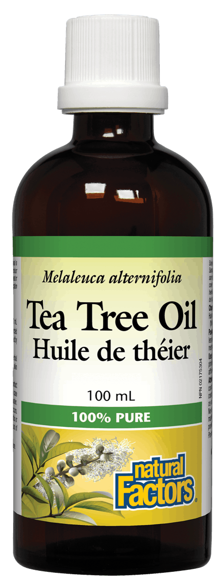 A bottle of Natural Factors Tea Tree Oil, 100% Pure, with a label showing the product name and the amount of 100mL.