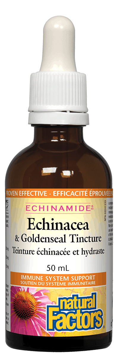 A bottle of Natural Factors Echinacea and Goldenseal Tincture, 50 ml, with a label showing the brand name and product name.