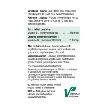 Jamieson Vitamin B12 健美生
 Methylcobalamin 250 mcg 100 tablets ingredient information panel