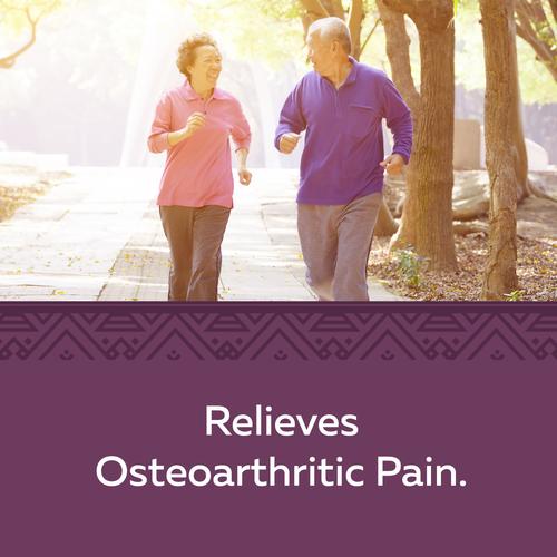 Nature's Way Boswellia 60 tabs